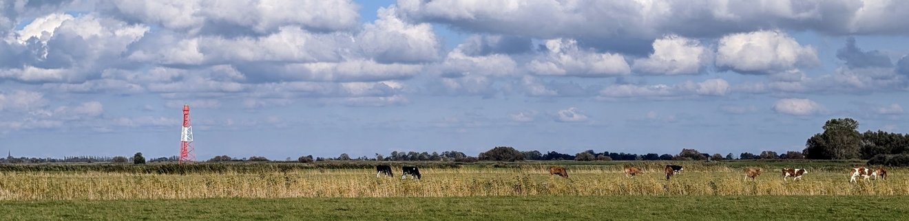 Headerbild_DW-Wesermarsch_2026